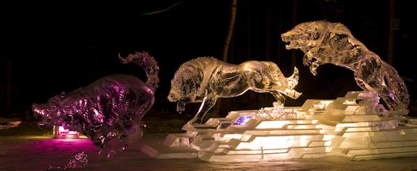 Ice Alaska 09 Hasselblad -0003489-8.jpg - *temp*